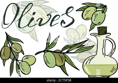 Olive e olio d'oliva tirati a mano, set. Vettore Illustrazione Vettoriale