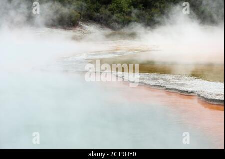 Nuova Zelanda, Isola del nord, Baia di Planty, Rotorua, Wai-O-Tapu, Pool di Champagne Foto Stock