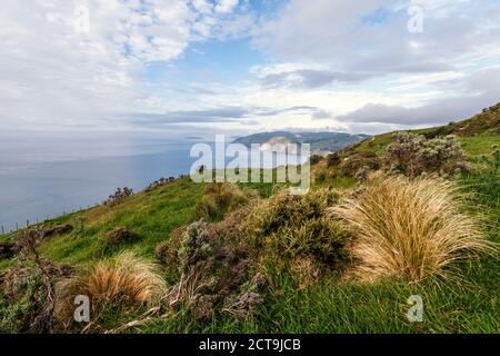 Nuova Zelanda Wellington, Kapiti, Makara che costa, Foto Stock