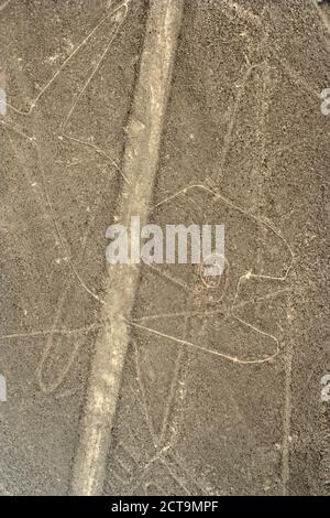 Il Perù, Ica, Nasca lines, vista la balena, vista aerea Foto Stock