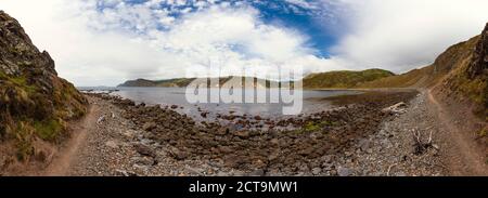 Nuova Zelanda Wellington, Kapiti, Spiaggia di makara che Foto Stock