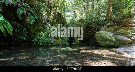 Nuova Zelanda Marlborough Sounds, fiume Pelorus Foto Stock