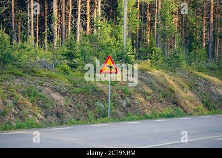 La Svezia, Jokkmokk, Elk crossing cartello stradale al country road Foto Stock