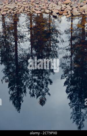 La Svezia, Orsa, la riflessione di alberi in un lago Foto Stock