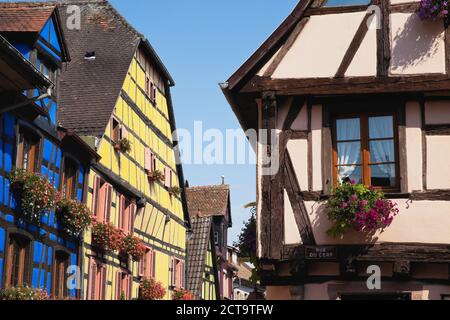 Francia, Alsazia, Haut-Rhin, Riquewhir, il centro storico con le tipiche tipiche case a graticcio Foto Stock