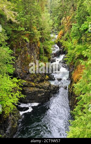 Canada, British Columbia, l'isola di Vancouver, Englishman River Falls Provincial Park Foto Stock