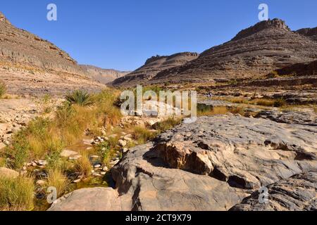 Africa, Algeria, del Tassili N'Ajjer National Park, Iherir, persone escursionismo in prossimità di una guelta nel Canyon Idaran Foto Stock