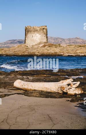 L'Italia, Sardegna, Stintino, La Pelosa, spiaggia, a Torre Pelosa Foto Stock