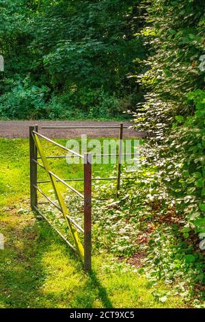 Sale palude giardini hall Foto Stock