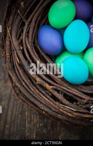 Estere tinto uova nel nido Foto Stock