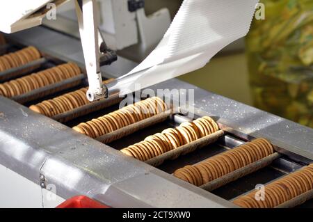 Germania, industria alimentare, Cookie produzione nel panificio industriale Foto Stock