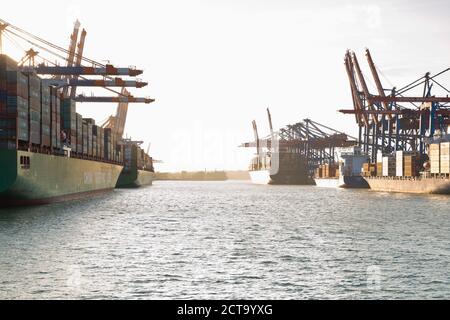 Germania, Amburgo, navi container presso il porto di Waltershofer Foto Stock