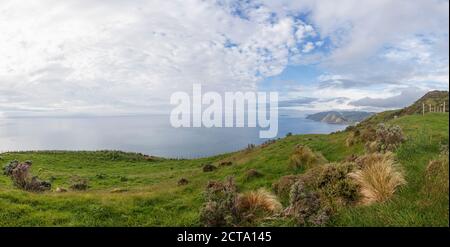 Nuova Zelanda Wellington, Kapiti, Makara che costa, Foto Stock