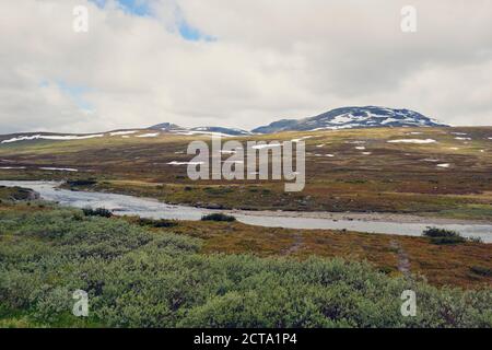 La Svezia, Gaeddede, paesaggio a Stekenjokk plateau Foto Stock