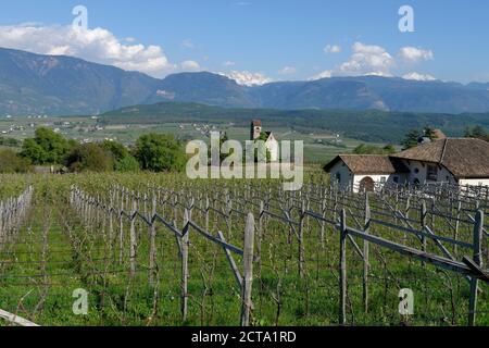 L'Italia, Alto Adige, Bassa Atesina, Appiano, vigneti presso il Castello Englar, con castello Chiesa San Sebastian Foto Stock