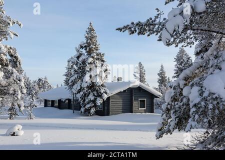 Finnland, vicino Saariselka, Log Cabin tra coperta di neve alberi Foto Stock