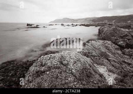 Nuova Zelanda Wellington, Kapiti, la Costa di Kapiti Foto Stock