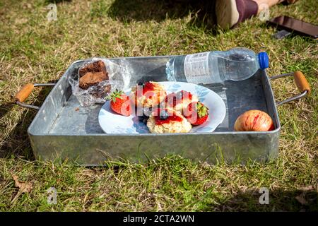 Tè al cricket, tè al cricket, tè pomeridiano, Scone, tè alla crema, conserve, cultura britannica, Cornovaglia - Inghilterra, tè - bevanda calda, crema coagulata, tavolo, torta, Foto Stock