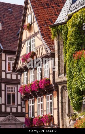 Germania, Sassonia-Anhalt, Quedlinburg, con travi di legno case Foto Stock