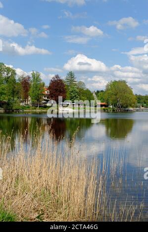 In Germania, in Baviera, vicino da Uffing am Staffelsee Foto Stock