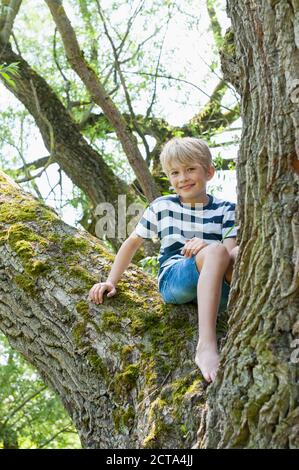 In Germania, in Baviera, sorridente ragazzo seduto su un albero Foto Stock