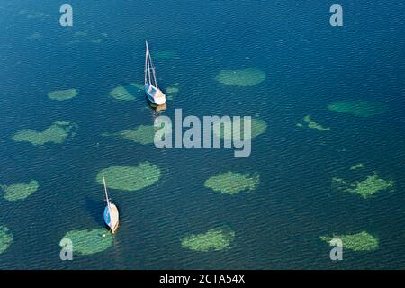 Germania, Baden-Württemberg, il lago di Costanza, barche a vela di ancorare al lago Zell Foto Stock