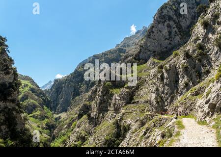 Spagna, Asturia, Parco Nazionale Picos de Europa, Ruta del Cares, sentiero da Poncebos a Caino Foto Stock