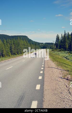 La Svezia, Arvidjaur, renne camminando sulla strada Foto Stock