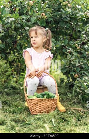 piccola bella ragazza si siede sotto un grande albero di mela con un cestino di cetrioli verdi Foto Stock