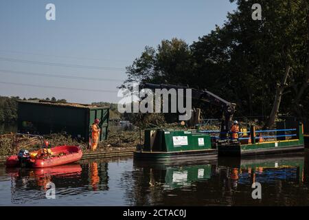 Harefield, Regno Unito. 21 Settembre 2020. I lavoratori HS2 svolgono lavori di abbattimento degli alberi lungo il Canal Grande Union in connessione con il collegamento ferroviario ad alta velocità HS2. Migliaia di alberi sono già stati abbattuti nella valle del Colne per il controverso collegamento ferroviario £106 miliardi. Credit: Mark Kerrison/Alamy Live News Foto Stock