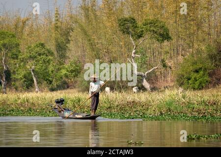 Pescatore in piedi in una barca sul lago di Inle, Birmania, Myanmar Foto Stock