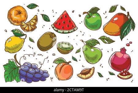 Frutta tropicale ed esotica, dieta e nutrizione sana Illustrazione Vettoriale