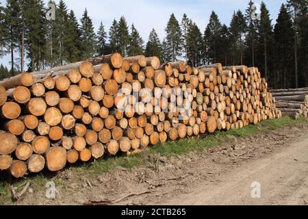 Un legno fresco polter in corrispondenza del bordo della foresta Foto Stock