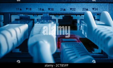 Primo piano Macro Shot: Cavi Ethernet collegati alle porte del router. Telecomunicazioni: Connettori per dispositivi RJ45 inseriti negli hub modem. Foto Stock