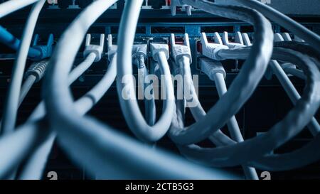 Primo piano Macro Shot: Cavi Ethernet collegati alle porte del router. Telecomunicazioni: Connettori per dispositivi RJ45 inseriti negli hub modem. Foto Stock