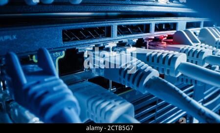 Primo piano Macro Shot: Cavi Ethernet collegati alle porte del router. Telecomunicazioni: Connettori per dispositivi RJ45 inseriti negli hub modem. Foto Stock