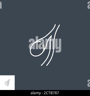 Icone della linea vettoriale della cistifellea Illustrazione Vettoriale