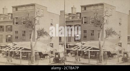 Stuyvesant Pear Tree, angolo N.E., 13 e 3. Ave, New York City., 1900, New York (state), New York (New York), Manhattan (New York, New York Foto Stock