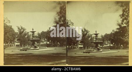 La fontana del birraio, Boston Common., immagine fissa, Stereographs, 1850 - 1930 Foto Stock