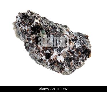 Flogopite non lucidata (mica di magnesio) minerale su taglio di roccia su sfondo bianco Foto Stock