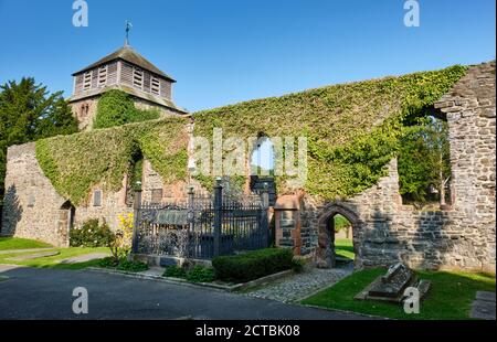 Rovine della chiesa di St Mary, Newtown, Powys, Galles Foto Stock