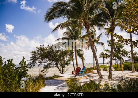 Sedie Adirondack su Bokeelia Beach, Florida con cielo blu, nuvole e palme Foto Stock