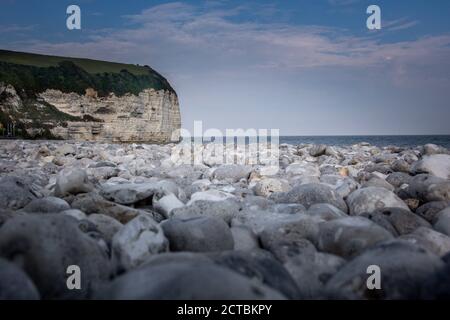 Falaise de Yport in Normandia, Francia Foto Stock