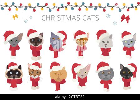 Ritratti di gatti in cappelli e sciarpe Santa. Natale di design. Illustrazione vettoriale Illustrazione Vettoriale