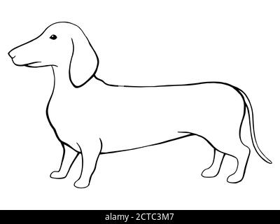 Dog dachshund grafico nero bianco isolato disegno vettore Illustrazione Vettoriale