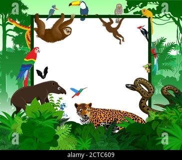 cornice vettoriale con animali da cartoni animati tropicali della giungla Illustrazione Vettoriale