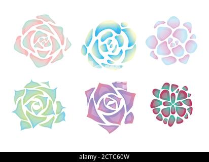 set di semplici succulenti al neon con riflesso. Vista dall'alto. Oggetti separati dallo sfondo. Elemento vettoriale per la creazione di cartoline, motivi e y Illustrazione Vettoriale