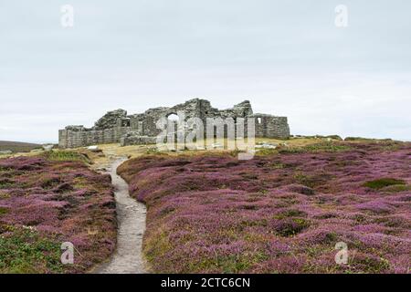 Un percorso attraverso erica alle rovine del castello di re Carlo, Tresco, Isole di Scilly Foto Stock