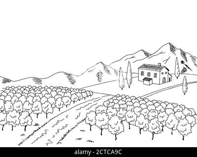 Vigneto grafico arte bianco nero disegno paesaggio vettore illustrazione Illustrazione Vettoriale