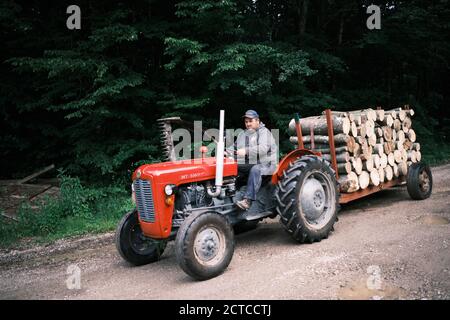 Vecchio trattore che tira il legno fuori da una foresta. Foto Stock